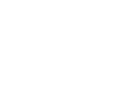 American Eagle Outfitters